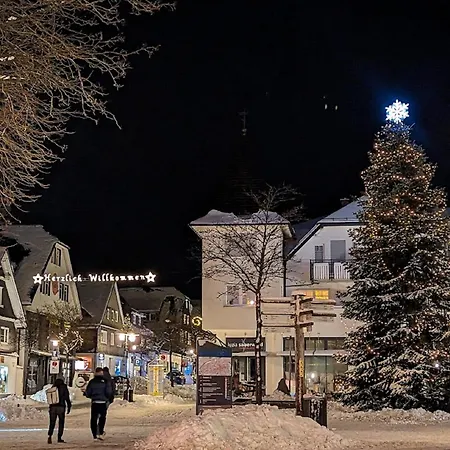 Citylight Apartman Winterberg